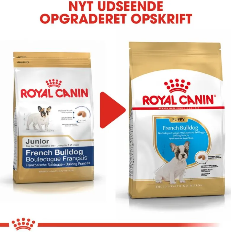 Royal Canin French Bulldog Puppy