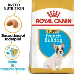 Royal Canin French Bulldog Puppy