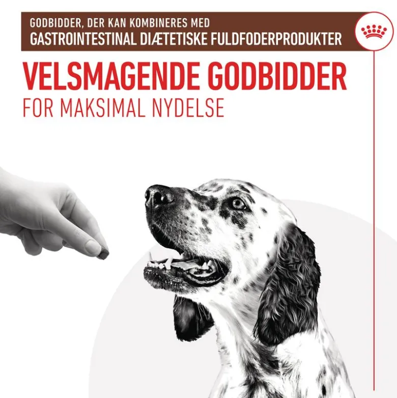 Royal Canin Gastrointestinal Snacks