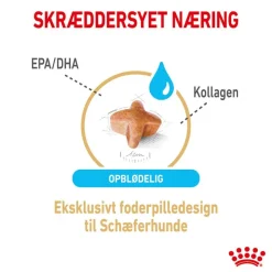 Royal Canin German Shepherd Adult 5+