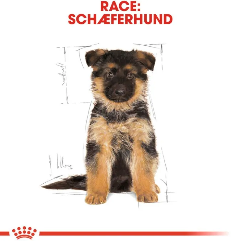 Royal Canin German Shepherd Puppy