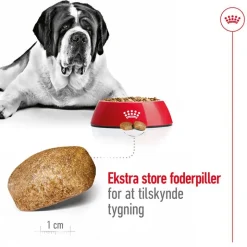 Royal Canin Giant Adult
