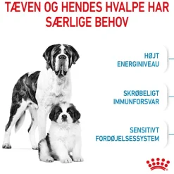 Royal Canin Giant Starter Mother & Babydog