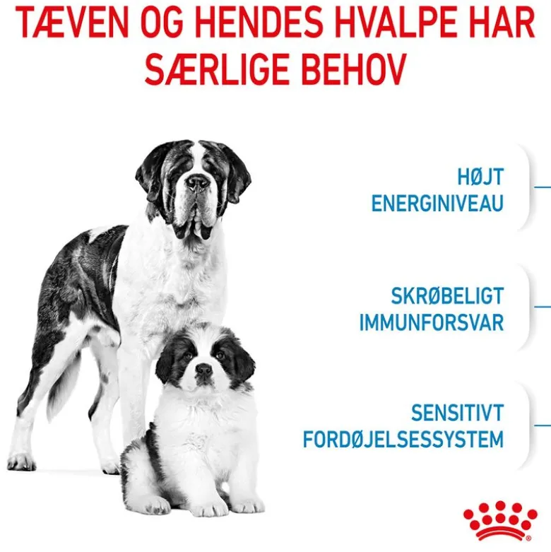 Royal Canin Giant Starter Mother & Babydog