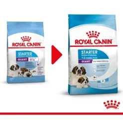 Royal Canin Giant Starter Mother & Babydog