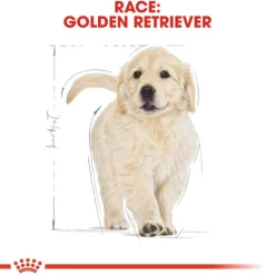 Royal Canin Golden Retriever Puppy