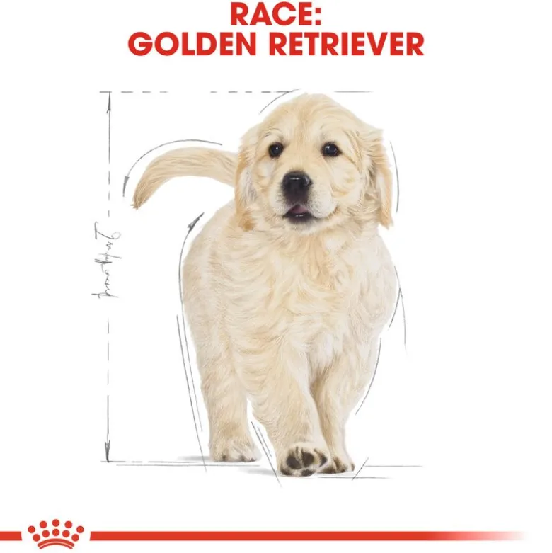 Royal Canin Golden Retriever Puppy