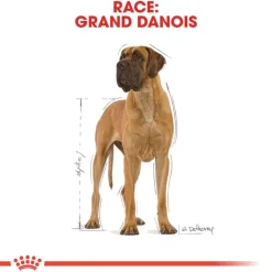 Royal Canin Great Dane Adult