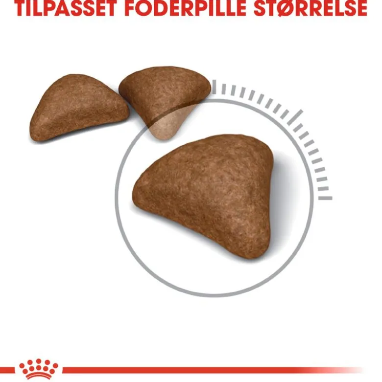 Royal Canin Hairball Care