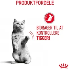 Royal Canin Hair & Skin Care i sauce