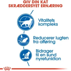 Royal Canin Indoor 7+