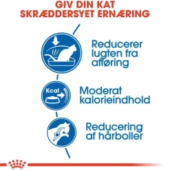 Royal Canin Indoor