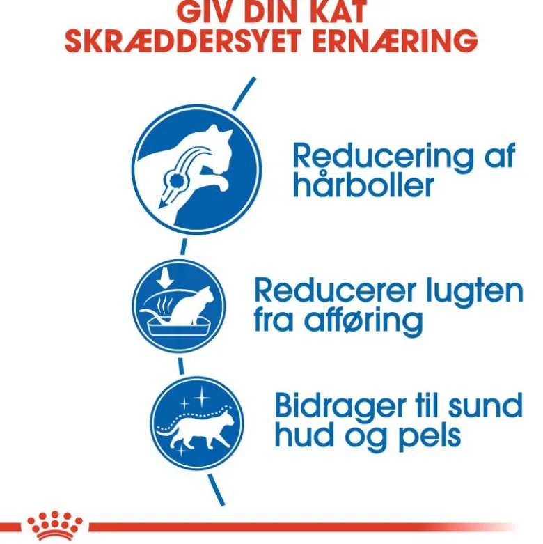 Royal Canin Indoor Long Hair