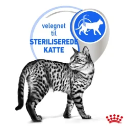 Royal Canin Indoor Sterilised 7+ i sauce