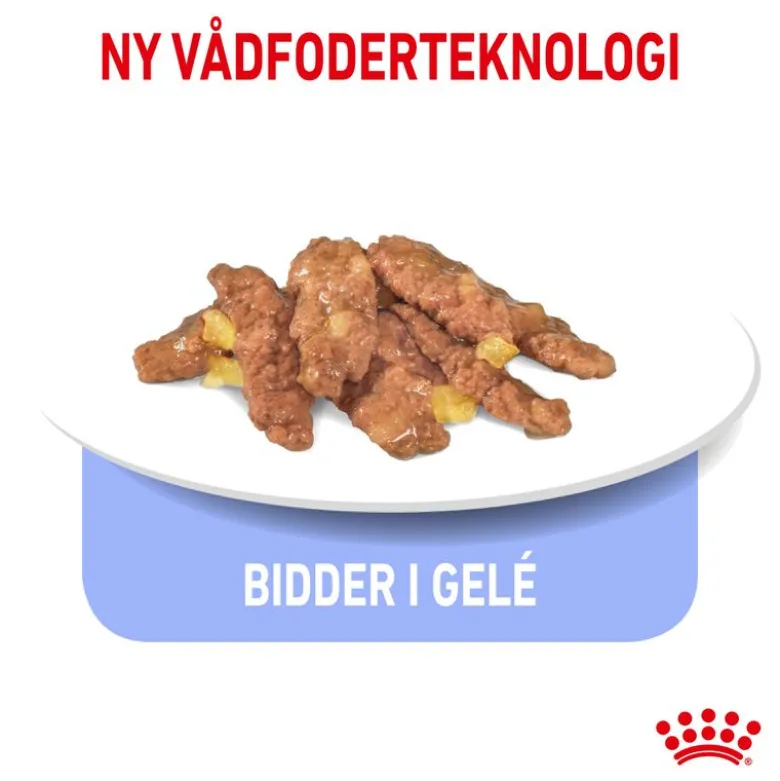 Royal Canin Indoor Sterilised 7+ i gelé
