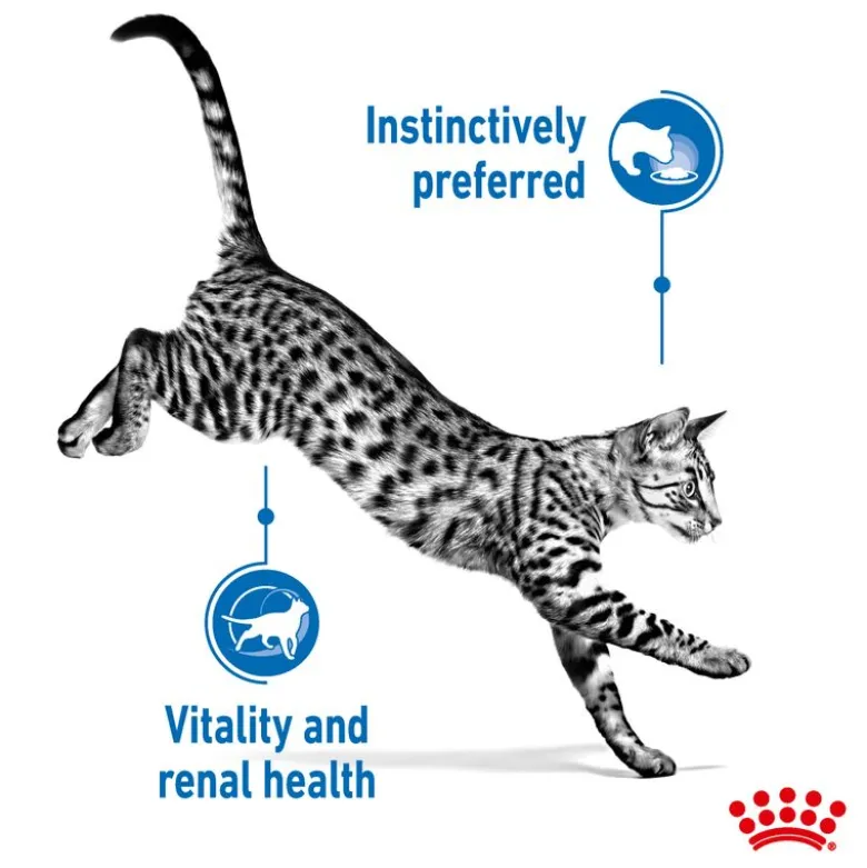 Royal Canin Indoor Sterilised 7+ i gelé