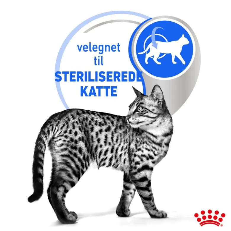 Royal Canin Indoor Sterilised Mousse
