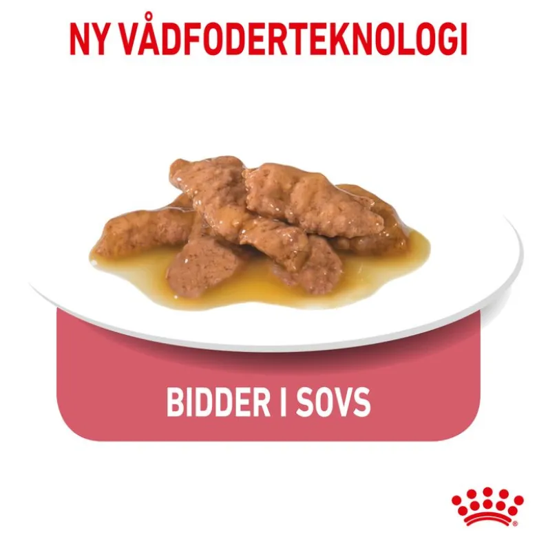 Royal Canin Indoor Sterilised i sauce