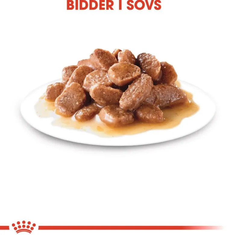 Royal Canin Instinctive i sauce