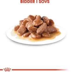 Royal Canin Instinctive +7 i sauce