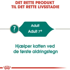 Royal Canin Instinctive +7 i sauce