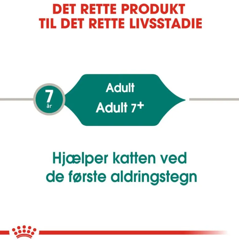 Royal Canin Instinctive +7 i sauce