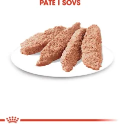 Royal Canin Instinctive Mousse