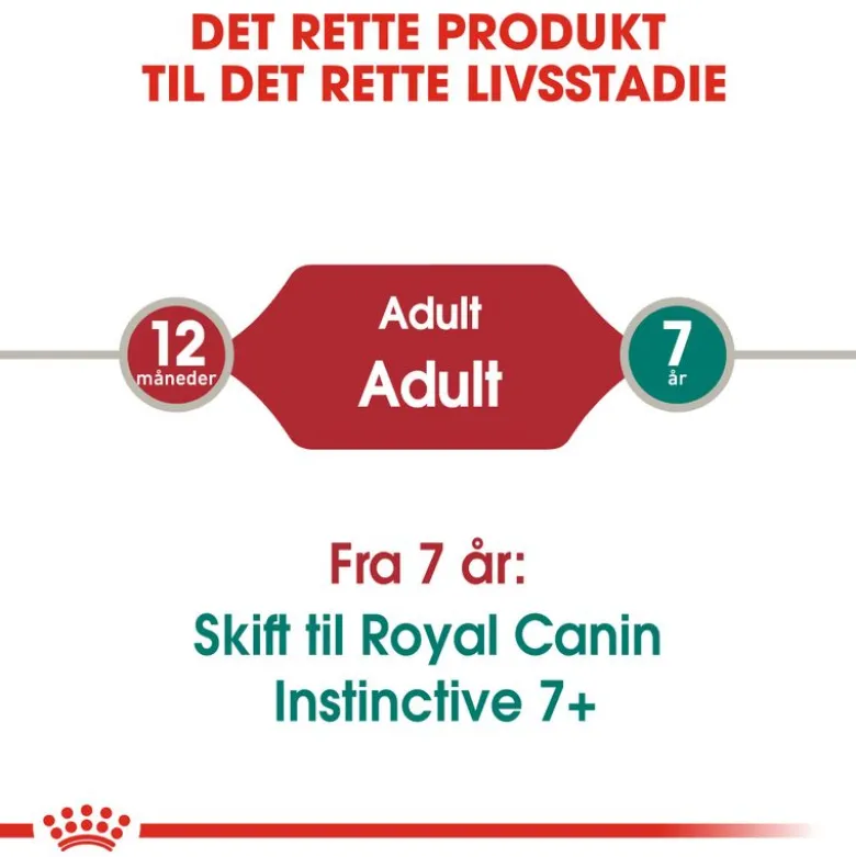 Royal Canin Instinctive Mousse