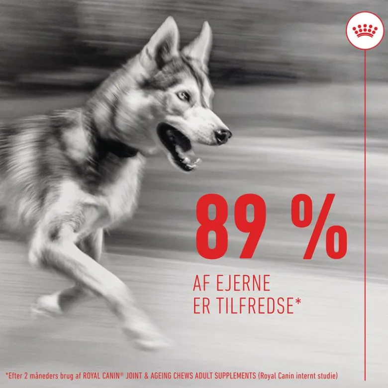 Royal Canin Joint & Ageing Adult Supplement tyggesnacks