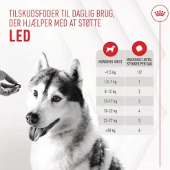Royal Canin Joint & Ageing Adult Supplement tyggesnacks