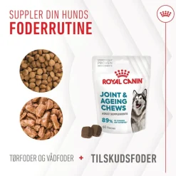 Royal Canin Joint & Ageing Adult Supplement tyggesnacks