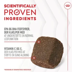 Royal Canin Joint & Ageing Adult Supplement tyggesnacks