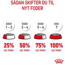 Royal Canin Kitten