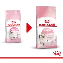 Royal Canin Kitten