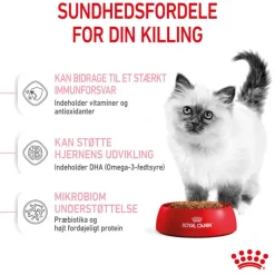 Royal Canin Kitten
