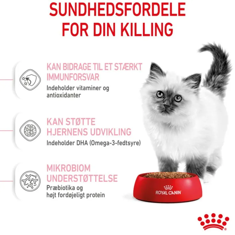 Royal Canin Kitten