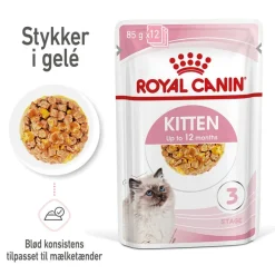 Royal Canin Kitten i gelé