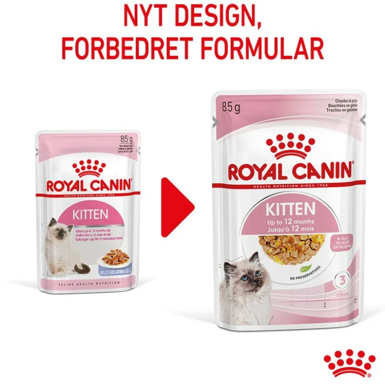 Royal Canin Kitten i gelé