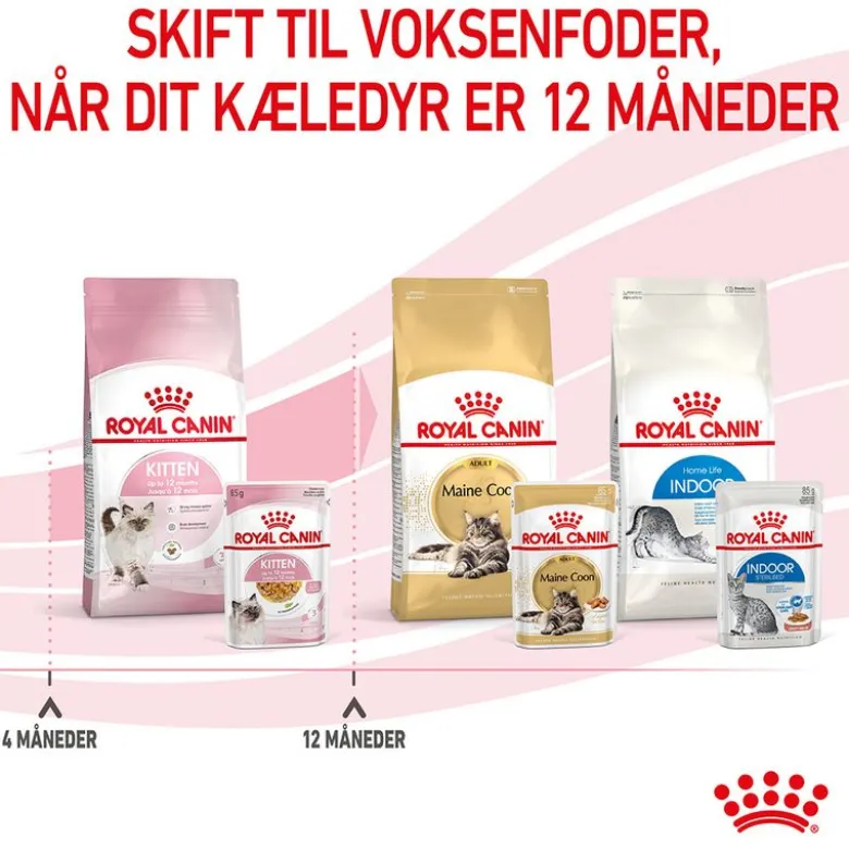 Royal Canin Kitten i gelé