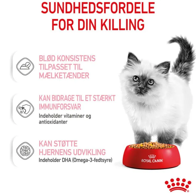 Royal Canin Kitten i gelé