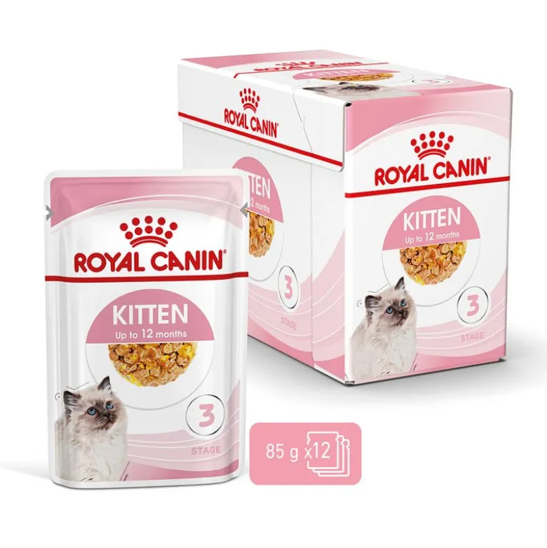 Royal Canin Kitten i gelé