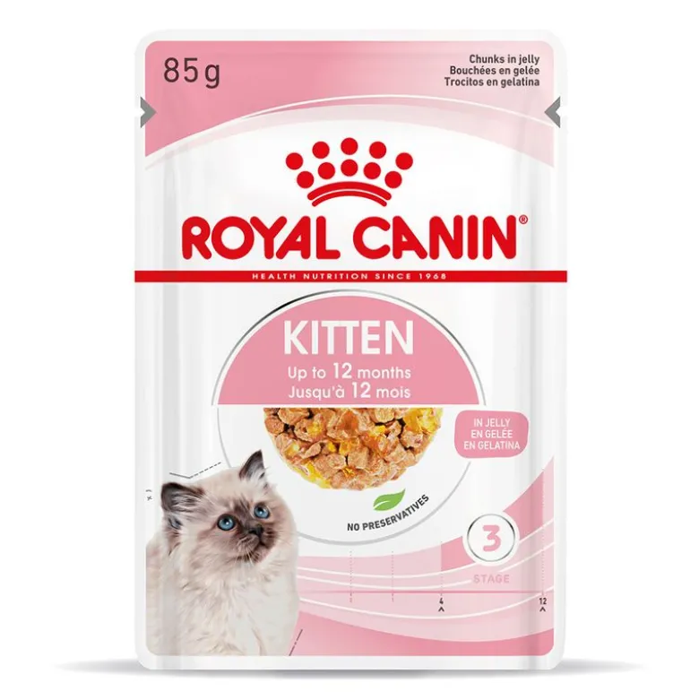 Royal Canin Kitten i gelé
