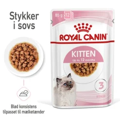 Royal Canin Kitten i sauce