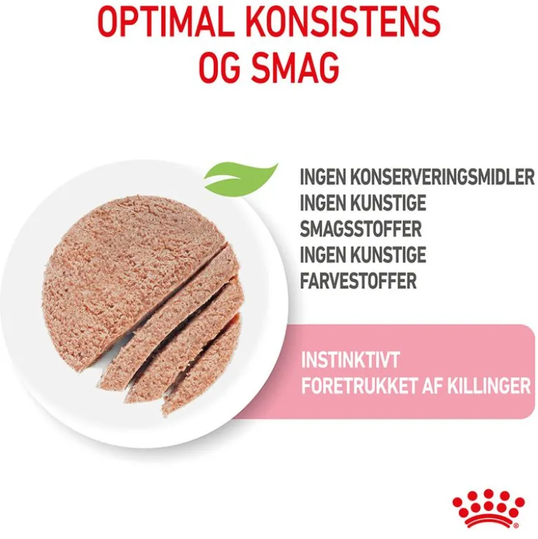 Royal Canin Kitten Mousse