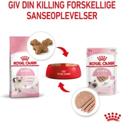 Royal Canin Kitten Mousse