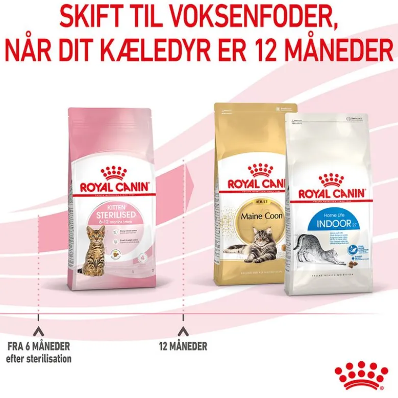 Royal Canin Kitten Sterilised