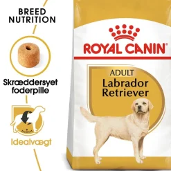 Royal Canin Labrador Retriever Adult