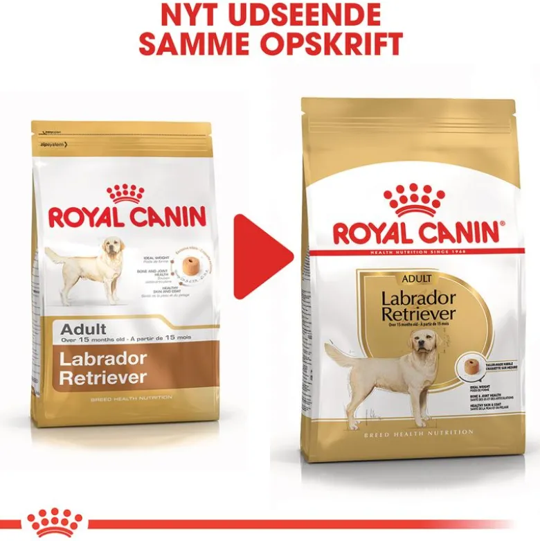 Royal Canin Labrador Retriever Adult