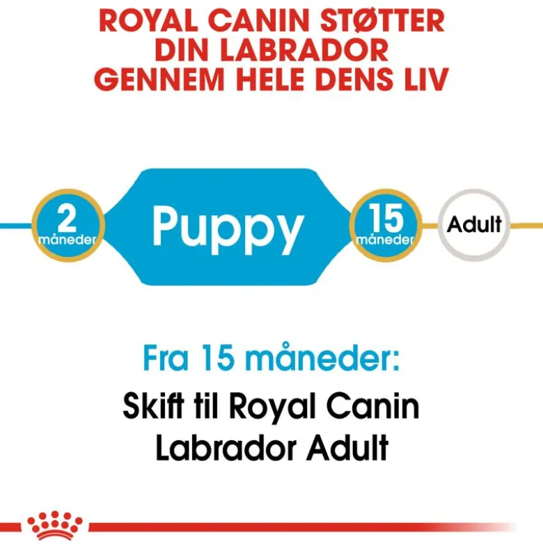 Royal Canin Labrador Retriever Puppy