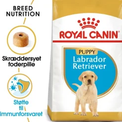 Royal Canin Labrador Retriever Puppy